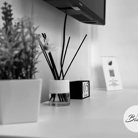 דירה Blanco & Negro